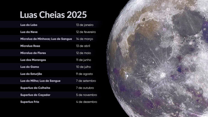 Calendário Da Lua Janeiro 2025