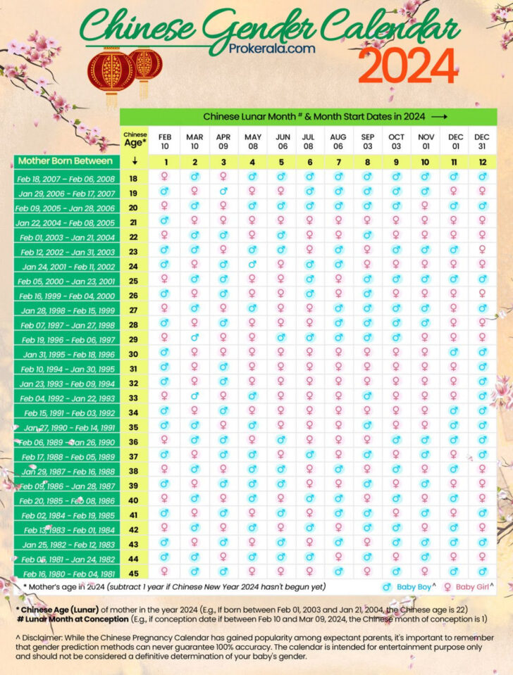 Calendário Chinês Gravidez 2025