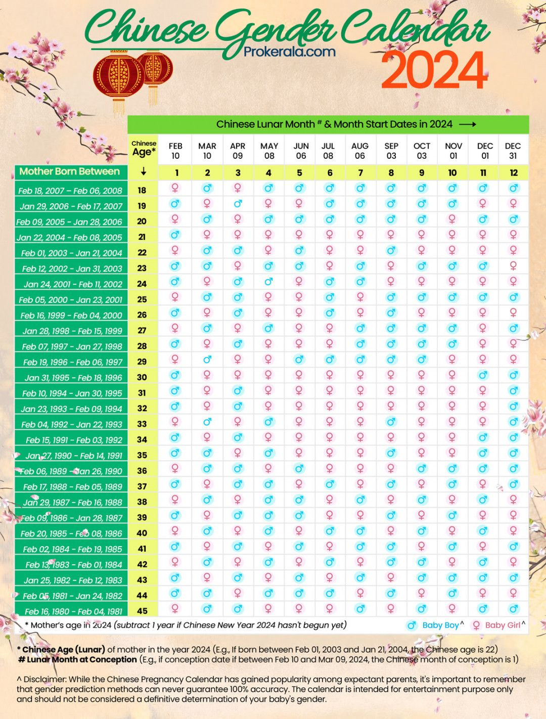 Chinese Calendar For 2024 | Calendário Chinês Gravidez 2025