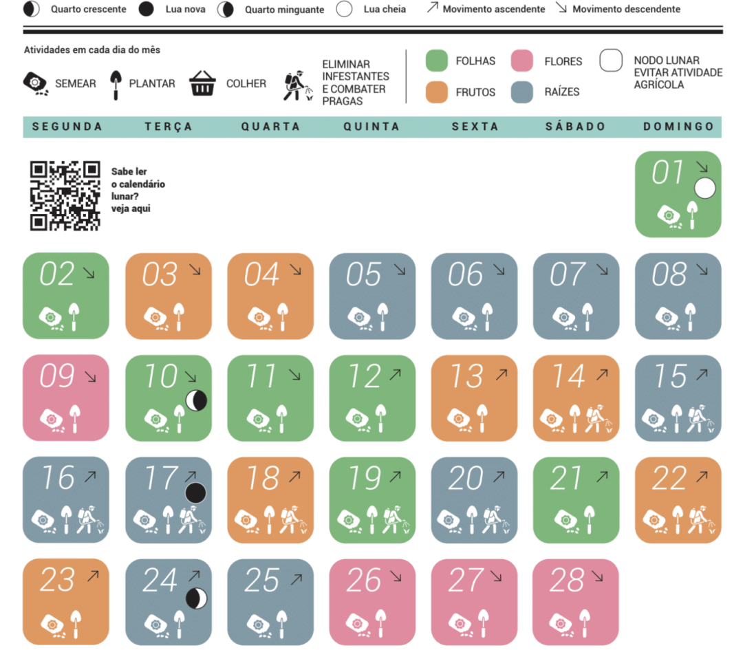 Calendário Lunar: Fevereiro De 2026 - Revista Jardins | Calendario de fevereiro de 2026 com fases da lua