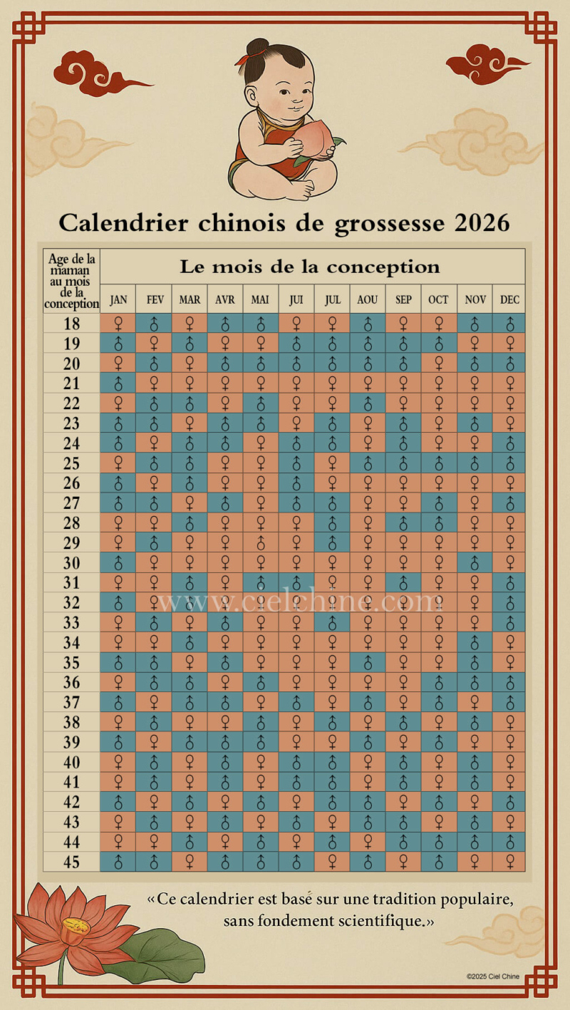 Calendrier Chinois - Calendrier De Grossesse 2025/2026 📅 - Ciel Chine | Calendario Chines Para Gravidez 2026